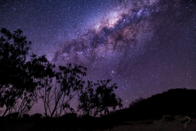 Un papillon australien utilise les étoiles pour atteindre son lieu d’estivation à 1000 km